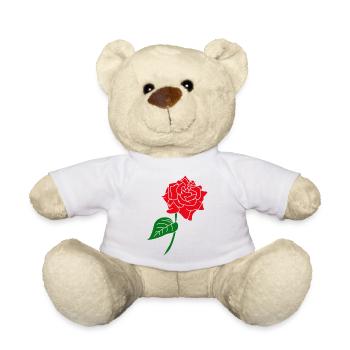 Rote Rose - Teddy - Weiß - Vorne