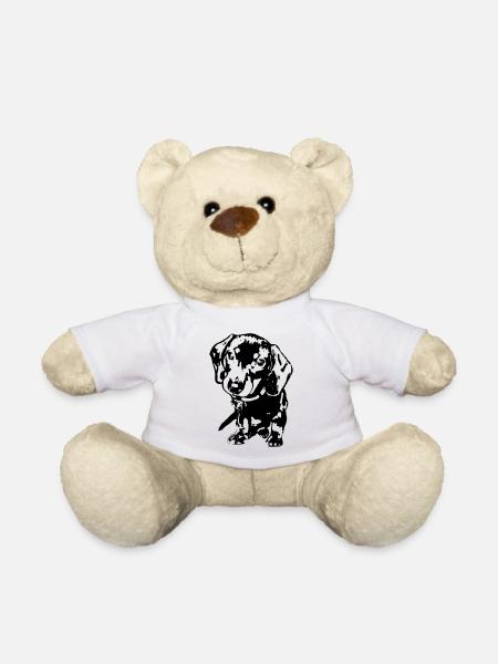 Dachshund - Teddy - Weiß