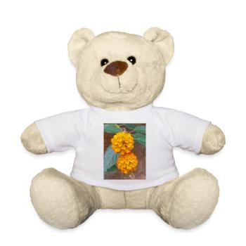 Lantana aussi drapeau espagnol Wandelröschen Lantana - Nounours - blanc - Devant