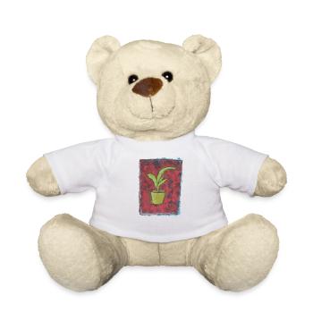Dracaena Pflanze - Teddy - Weiß - Vorne