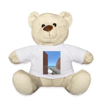 Geflügelte Freiheit über dem Ozean - Teddy - Weiß - Vorne
