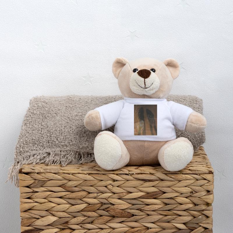 Together on ancient steps Teddy Bear