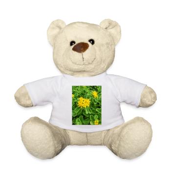 orpin aussi sedum aussi orpine Ewige Fetthenne - Nounours - blanc - Devant