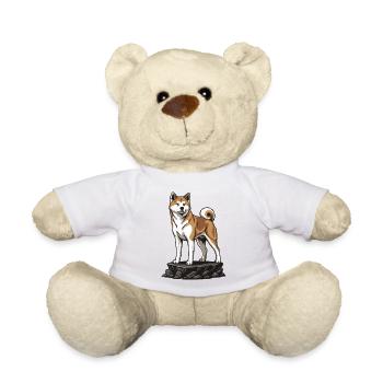 Akita Inu-Hund auf Rock Noble japanisches Porträt - Teddy - Weiß - Vorne