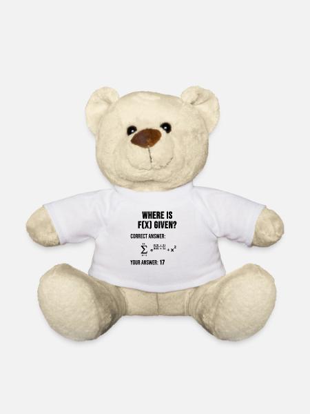 Mathe Physik Ingenieur Funktion Geschenk - Teddy - Weiß