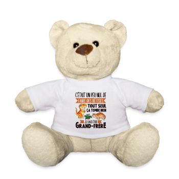 Cadeau Annonce Grossesse Grand-frère Dinosaure - Nounours - blanc - Devant