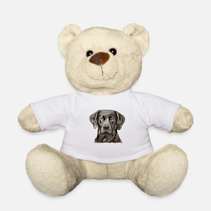 Labrador - Nounours - blanc