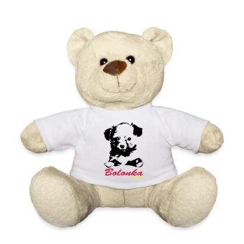 bolonka Zwetna chiots yella - Nounours - blanc - Devant