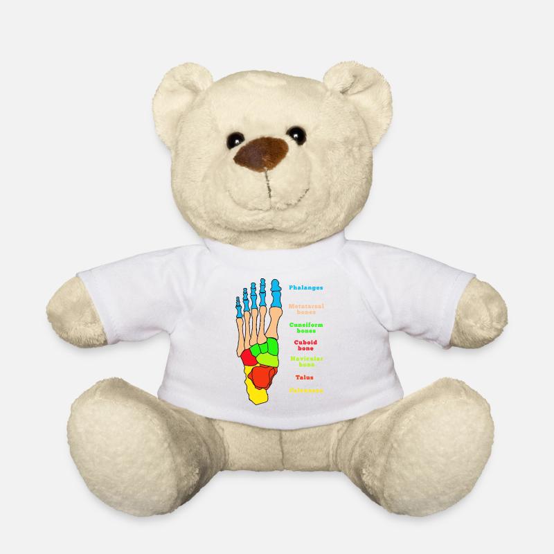 Fuß Anatomie Knochen Skelett Physiotherapie - Teddy - Weiß