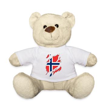 Norwegen Flagge zerrissenes Motiv - Teddy - Weiß - Vorne