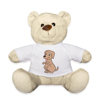 Hund Hunde - Teddy - Weiß - Vorne