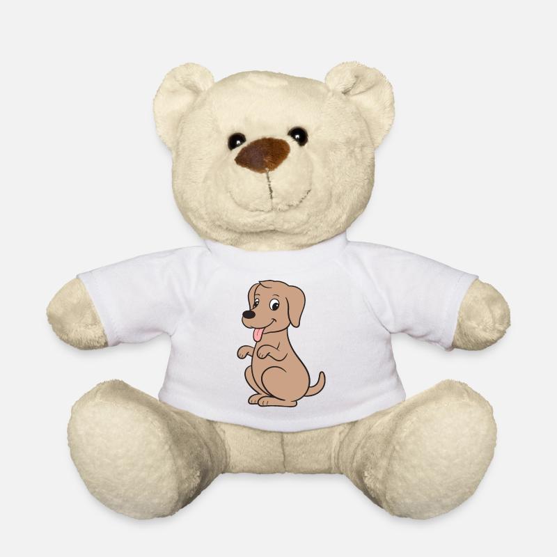 Hund Hunde - Teddy - Weiß
