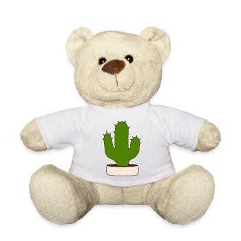 Kaktus, Kakteen, Sukkulenten, Pflanze - Teddy - Weiß - Vorne