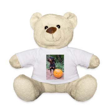 Kürbis Hund Halloween Herbst - Teddy - Weiß - Vorne