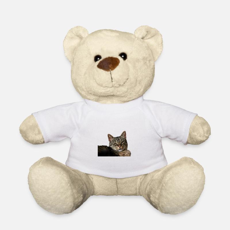 Katze Kätzchen - Teddy - Weiß