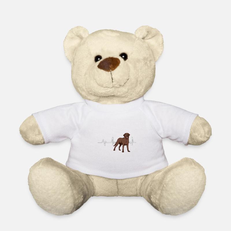 Brauner Labrador Labbi Labrador Heartbeat - Teddy - Weiß