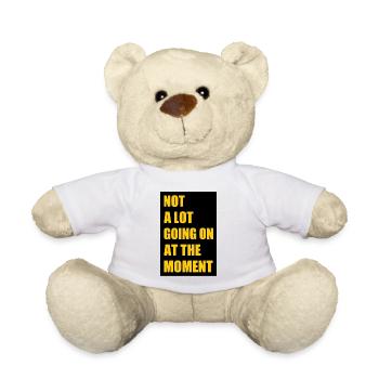 Not a lot going at the moment - Teddy Bear - white - Front