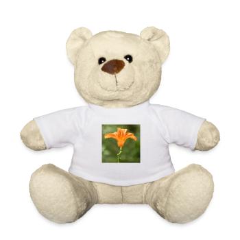 Fleur de lis (Lilium) orange - Nounours - blanc - Devant