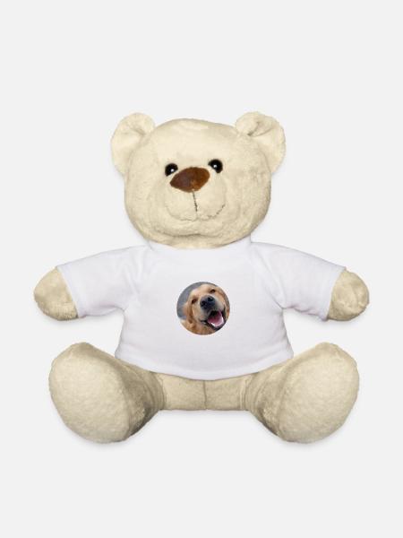 Süßer Hund - Teddy - Weiß