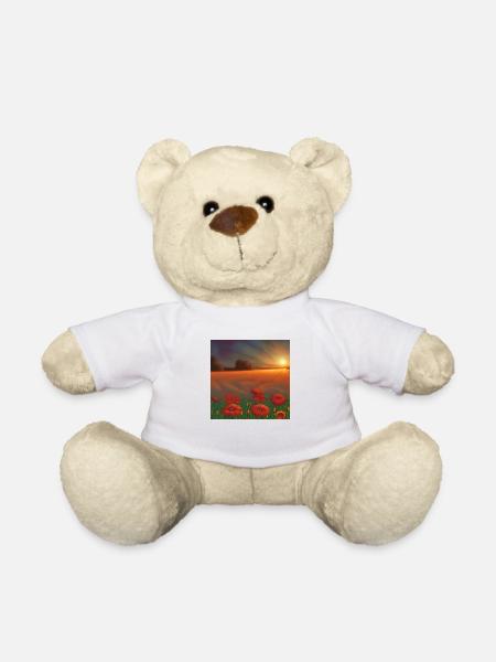 Sonnenuntergang auf dem weiten Feld der Orangenblumen - Teddy - Weiß