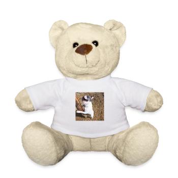 Französische Bulldoge mit Stock - Teddy - Weiß - Vorne