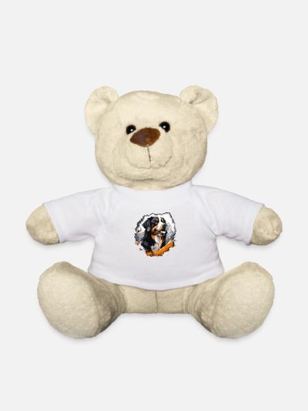 chien bouvier bernois - Nounours - blanc
