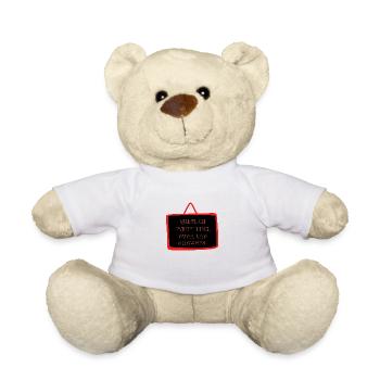 Bold "Question Everything" Philosophy Design - Teddy Bear - white - Front