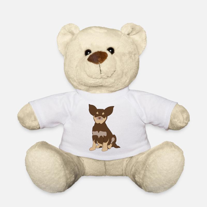 Chihuahua - Teddy Bear - white