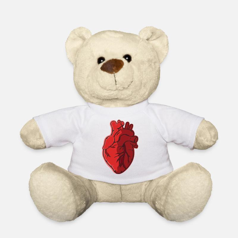Anatomie du coeur - Nounours - blanc