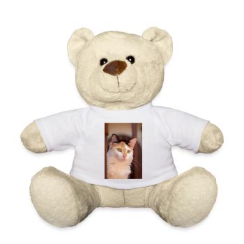 le chat au doux regard - Nounours - blanc - Devant