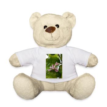 pink Hymenopus coronatus nymph -Orchid mantis - Teddy Bear - white - Front