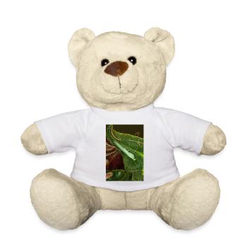 Tropidomantis cf tenue - Teddy Bear - white - Front