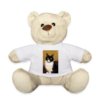 Image du chat - Nounours - blanc - Devant