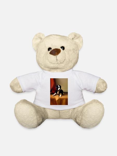 Photo de chien - Nounours - blanc