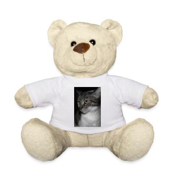 le chat au doux regard - Nounours - blanc - Devant
