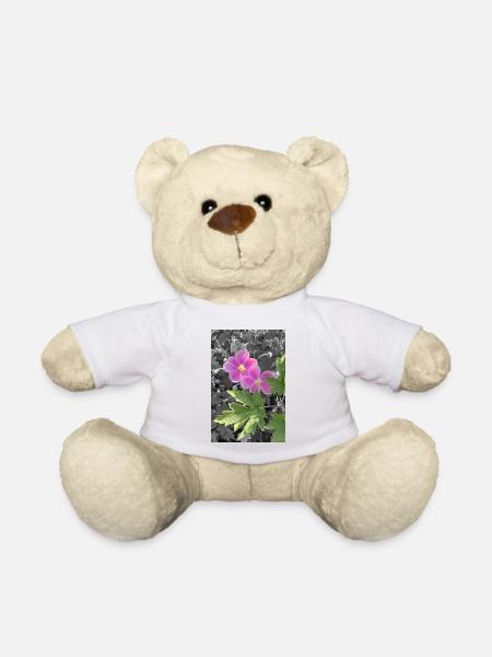 HERBST-ANEMONEN - Teddy - Weiß