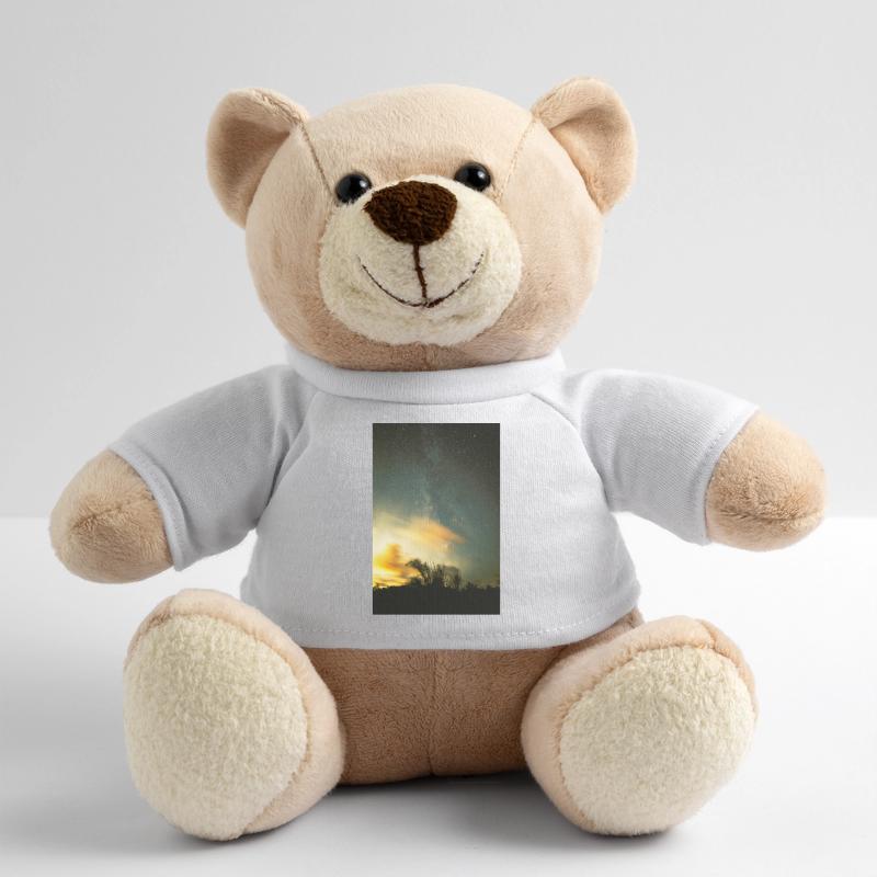 Raum Teddy