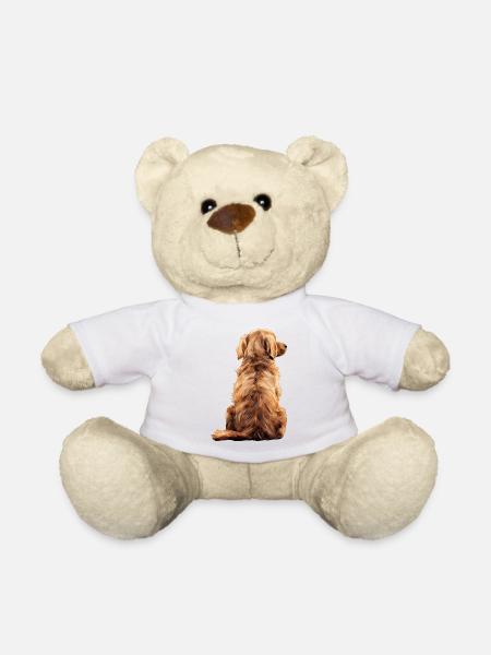 Golden retriever - Nounours - blanc