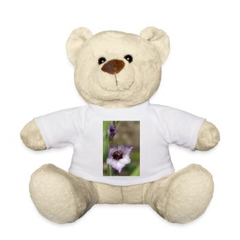 Glaïeul – amidon en fleurs - Nounours - blanc - Devant
