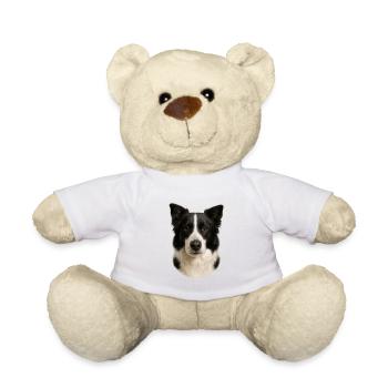 Portrait de tête de Border Collie - Nounours - blanc - Devant