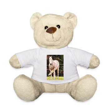 Apfelschimmel Pferd Porträt Poster - Teddy - Weiß - Vorne