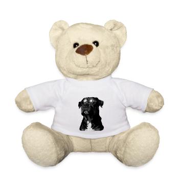 Chien avec vue urbaine et lunettes de soleil - Nounours - blanc - Devant