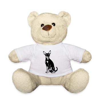 pinscher - Nounours - blanc - Devant