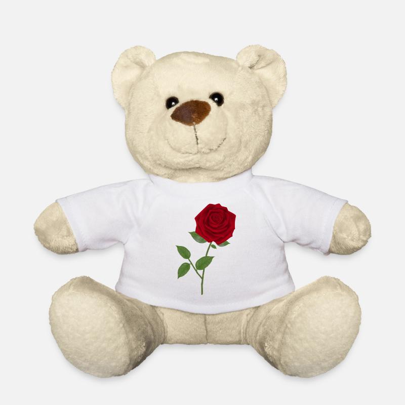 Roses - Teddy Bear - white