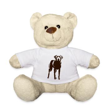 Labrador - Teddy Bear - white - Front