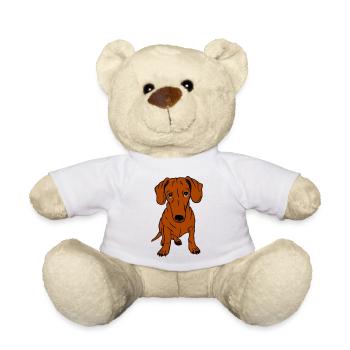 Teckel, cheveux courts, entier - Nounours - blanc - Devant