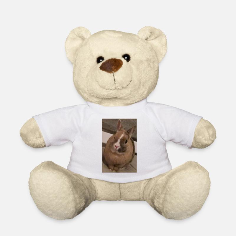 Kaninchen - Teddy - Weiß