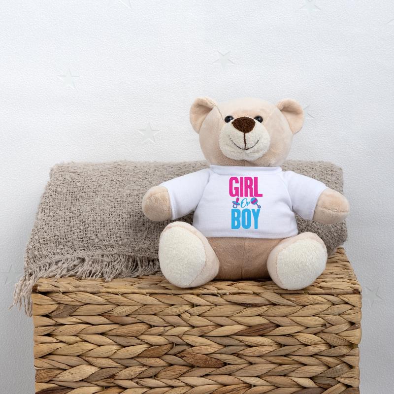 Mädchen oder Junge Gender Reveal Party Teddy