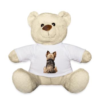 Yorkshire Terrier - Teddy Bear - white - Front