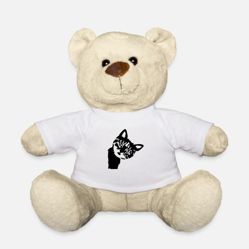 Katze, süßes Kätzchen - Teddy - Weiß